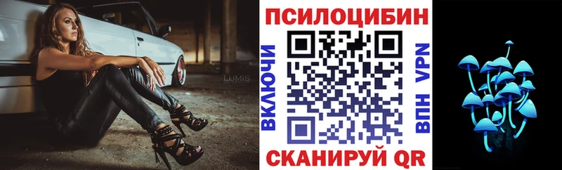 Псилоцибиновые грибы Cubensis  OMG ссылка  Покров 